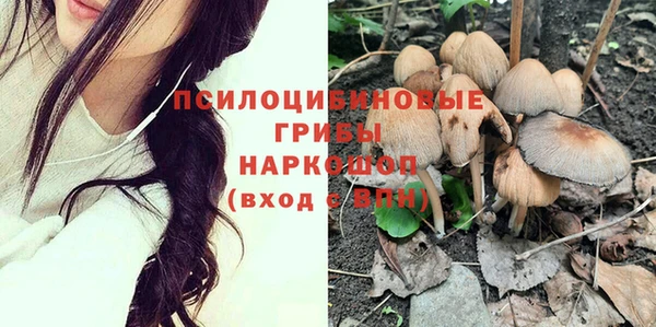 прущие грибы Вяземский