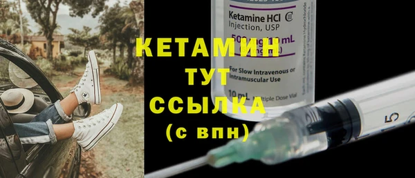 прущие грибы Вяземский