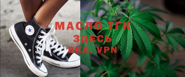 прущие грибы Вяземский