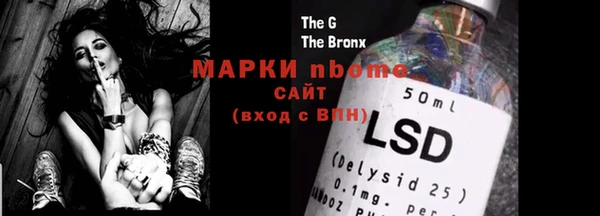 прущие грибы Вяземский