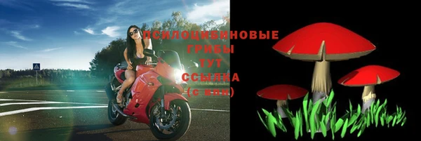 apvp Бронницы