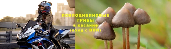 ECSTASY Бугульма