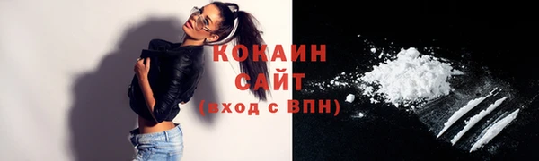 прущие грибы Вяземский