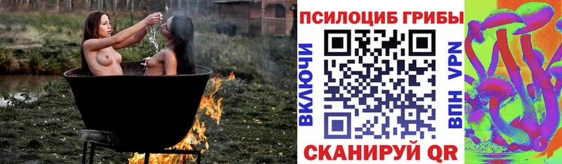 даркнет сайт  Зеленогорск  Галлюциногенные грибы мицелий 